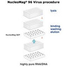 NucleoMag 96 Virus NucleoMag 96 Virus
