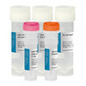 HOT FIREPol® DNA Polymerase Kit HOT FIREPol® DNA Polymerase Kit