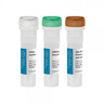 FIREScript® RT cDNA synthesis MIX senza primer FIREScript® RT cDNA synthesis MIX senza primer