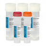 FIREPol® DNA Polymerase Kit FIREPol® DNA Polymerase Kit