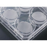 Piastra a 6 pozzetti JET CellSCAFFOLD 3D Piastra a 6 pozzetti JET CellSCAFFOLD 3D